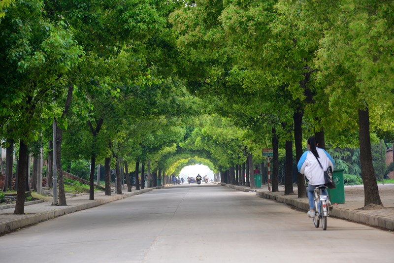 幸  福   路   上