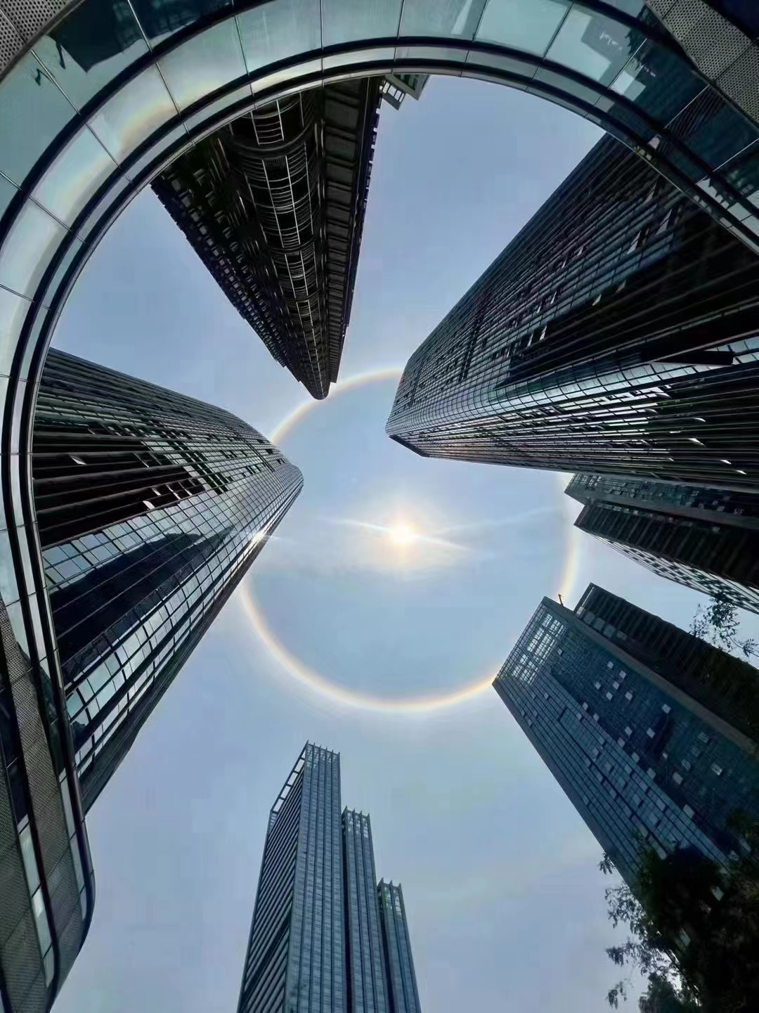 辽宁省发改委公告！征集问题线索！
