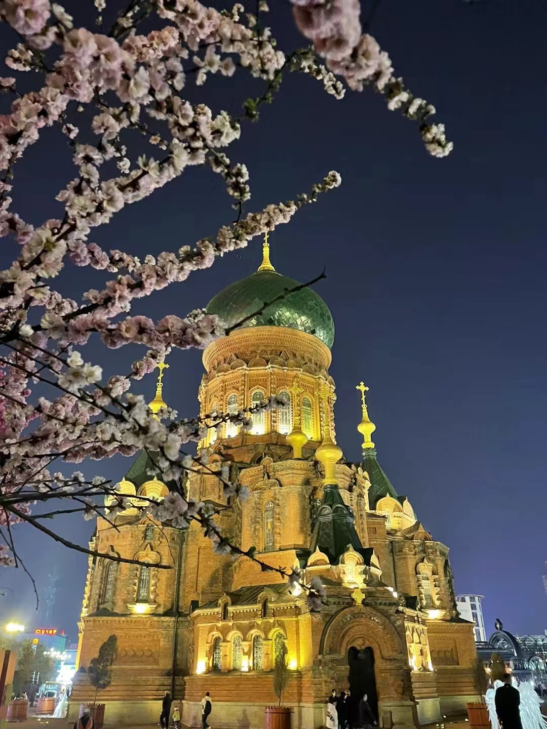 全国通报表扬！国务院办公厅发布优化营商环境专项督查发现的典型经验做法