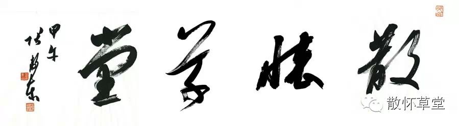 看 展 归 来